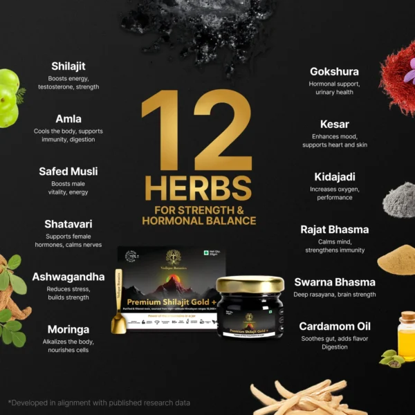 Premium Shilajit Gold+ Resin 20g - Image 2