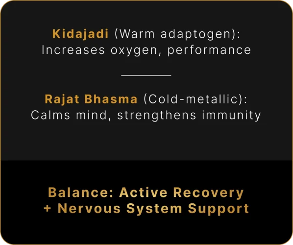 05 Kidajadi and Rajat Bhasma popup