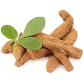 Ashwagandha Image