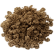 Gokshur Image