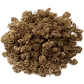 Gokshur Image