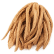 Shatawari Image